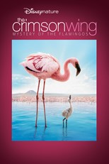 The Crimson Wing: Mystery of the Flamingos