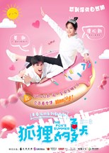 The Fox's Summer Season 2 (Fox Falls in Love Season 2 / 狐狸的夏天第二季 / 狐狸的夏天2) (2017) subtitles - SUBDL poster