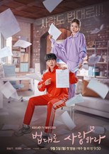 The Law Cafe (Love by Law / Love According to the Law / Beobdaero Saranghara / 법대로 사랑하라) (2022) subtitles - SUBDL poster