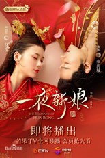 The Romance of Hua Rong (One Night Bride / Yi Ye Xin Niang / 一夜新娘)