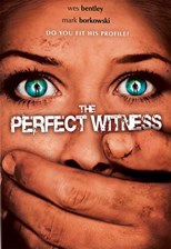 The Ungodly (The Perfect Witness)