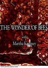 The Wonder of Bees