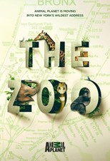 The Zoo - Third Season