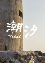 Tidal (潮汐)