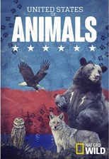 United States of Animals - First Season