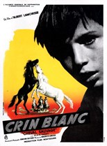 White Mane (Crin blanc: Le cheval sauvage)