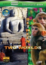 Wild Asia: Between Two Worlds