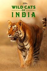 Wild Cats of India - First Season