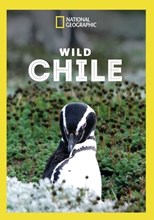 Wild Chile - First Season